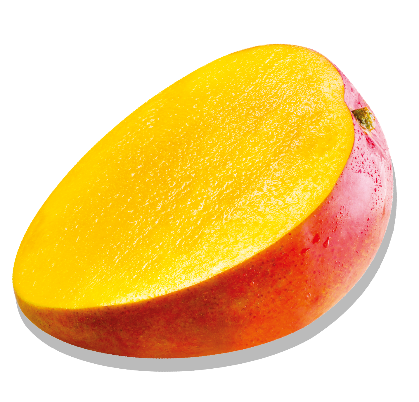 Iamco - Mangue fruit